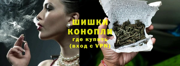 дурь Ельня