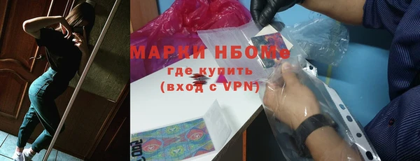 дурь Ельня