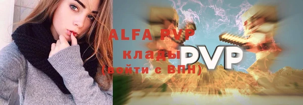 дурь Ельня