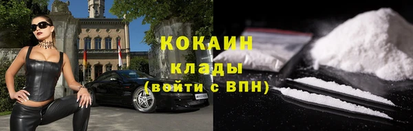 ПСИЛОЦИБИНОВЫЕ ГРИБЫ Елизово