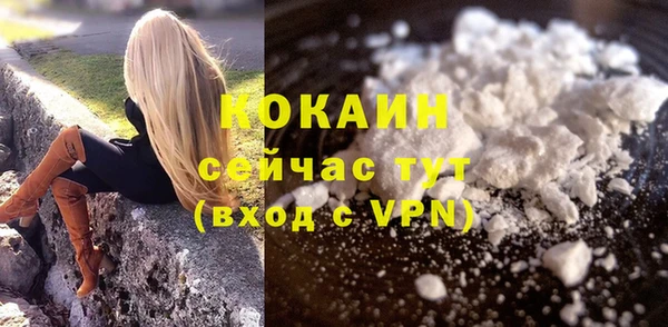 дурь Ельня