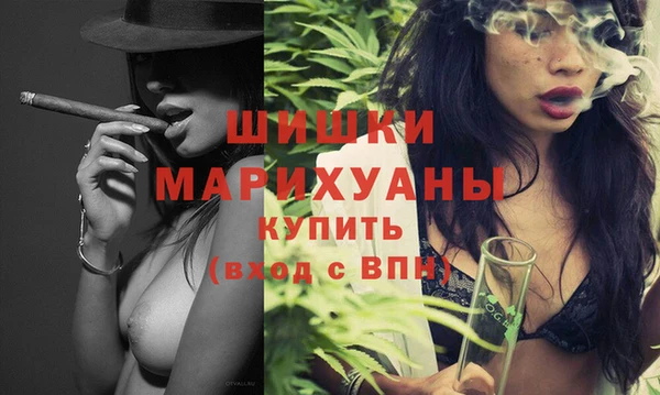 дурь Ельня