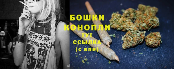 дурь Ельня