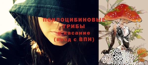 ПСИЛОЦИБИНОВЫЕ ГРИБЫ Елизово
